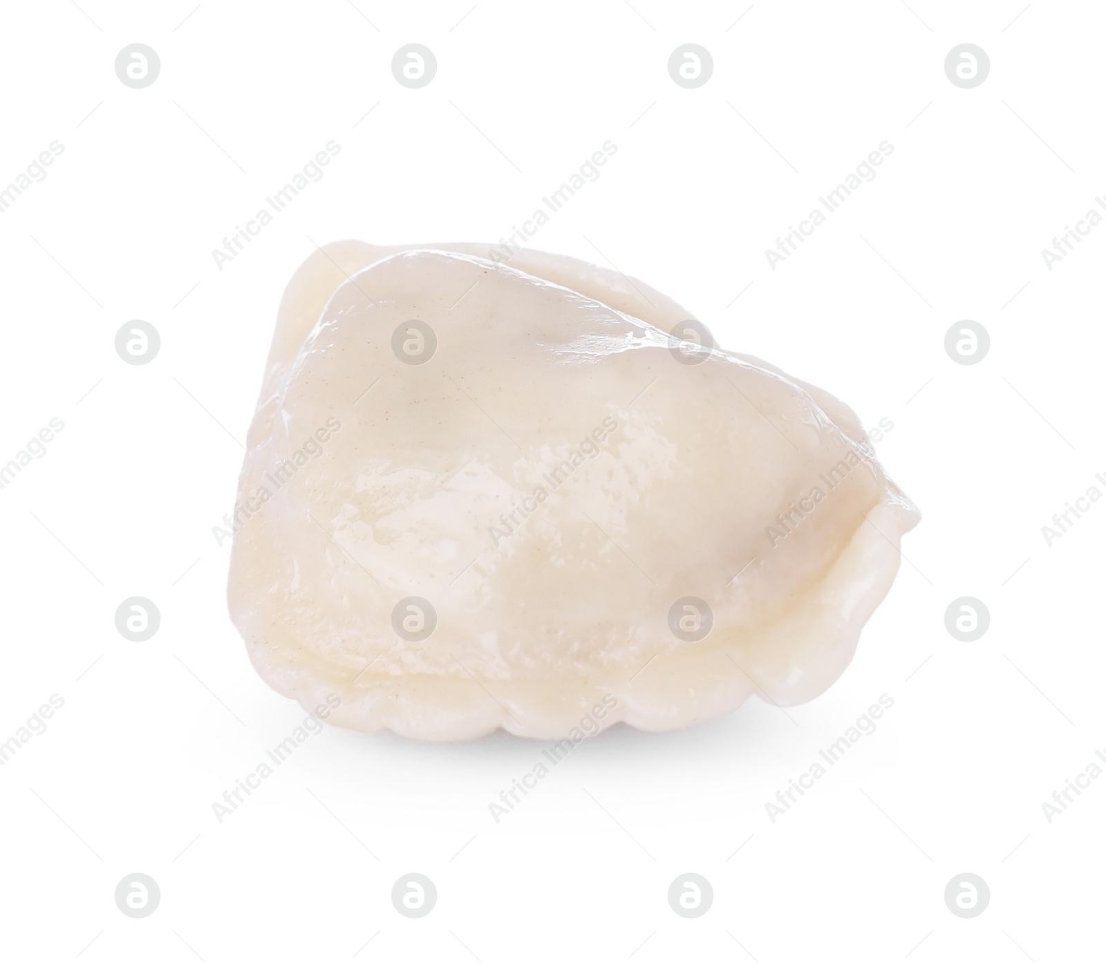 Photo of One dumpling (varenyk) with tasty filling isolated on white