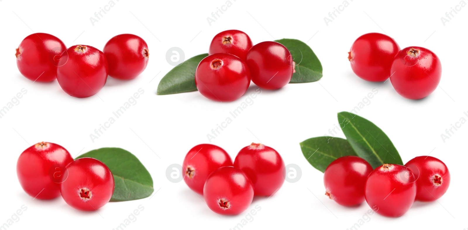 Image of Set of fresh ripe cranberries on white background