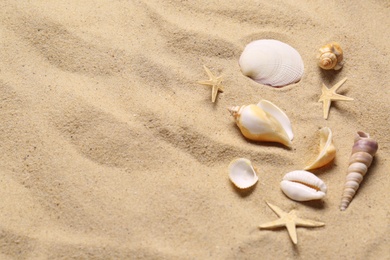 Photo of Beautiful seashells and starfishes on beach sand, flat lay with space for text. Summer vacation