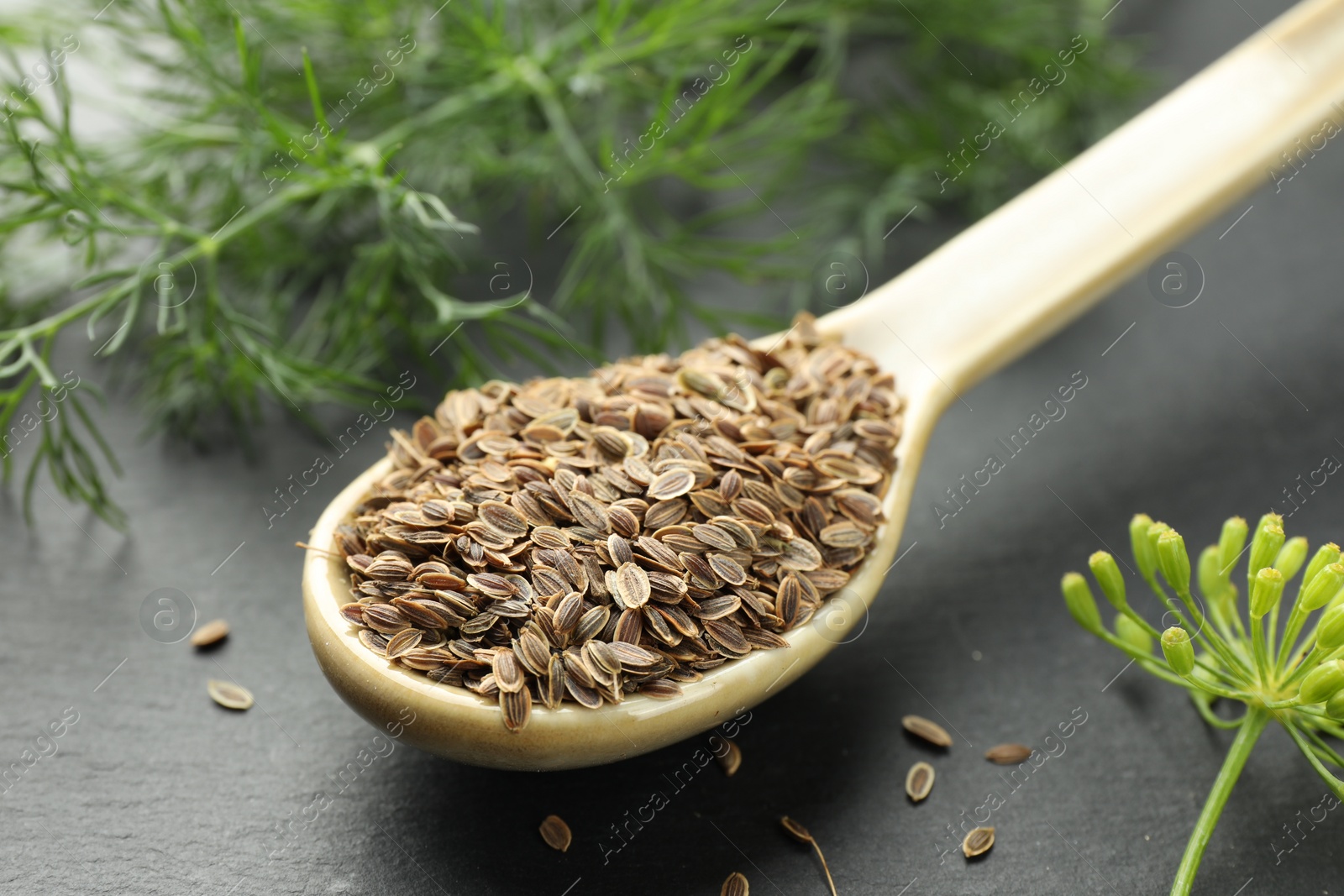 Photo of Spoon with dry seeds and fresh dill on black table, closeup