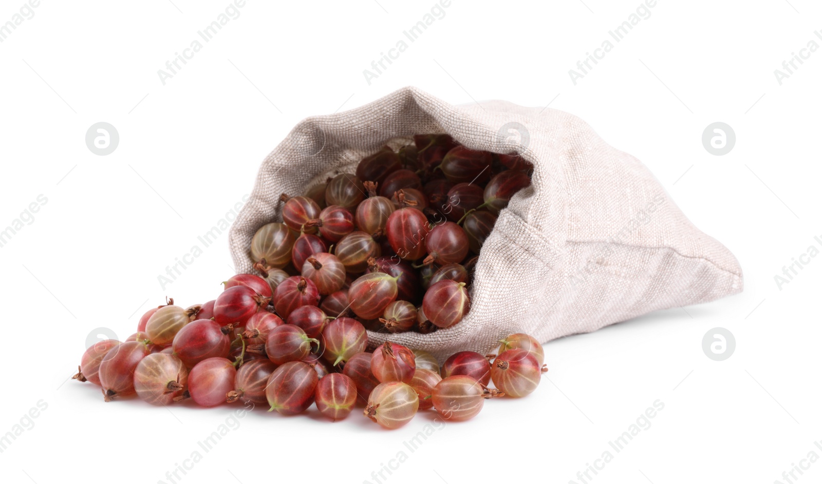 Photo of Sack with ripe gooseberries on white background