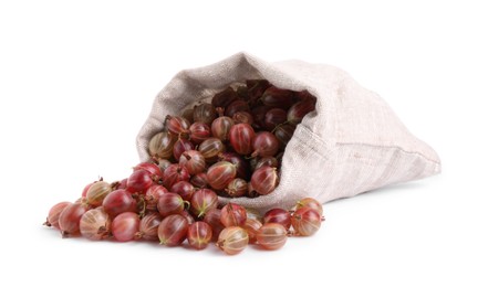 Photo of Sack with ripe gooseberries on white background