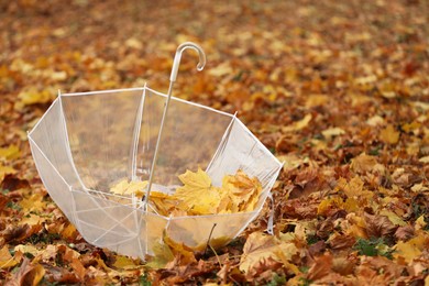 Photo of Open umbrella on fallen leaves in autumn park, space for text