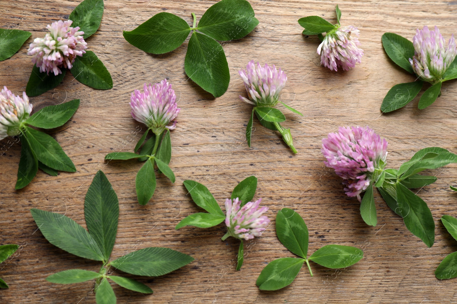 Photo of Beautiful clover flowers with green leaves on wooden background, flat lay