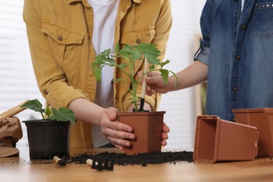 Mother and daughter planting seedlings in pot together at wooden table indoors, closeup