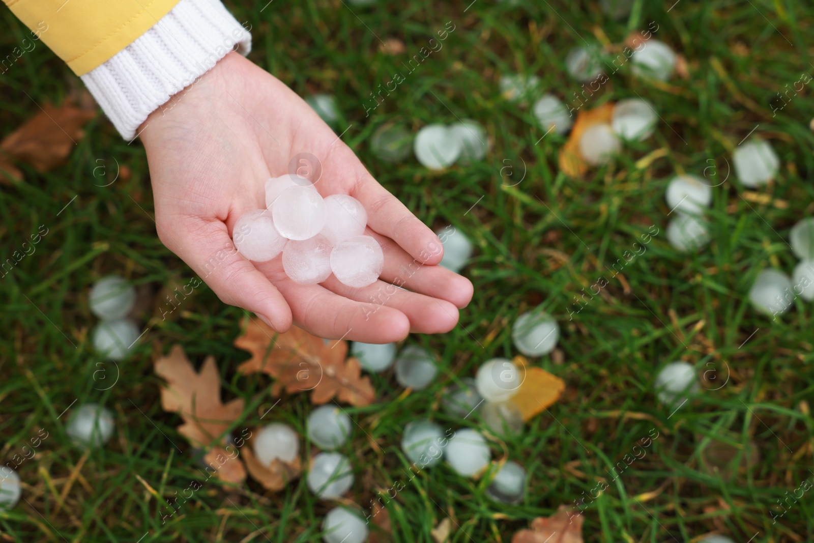 Photo of Woman holding hail grains after thunderstorm outdoors, closeup