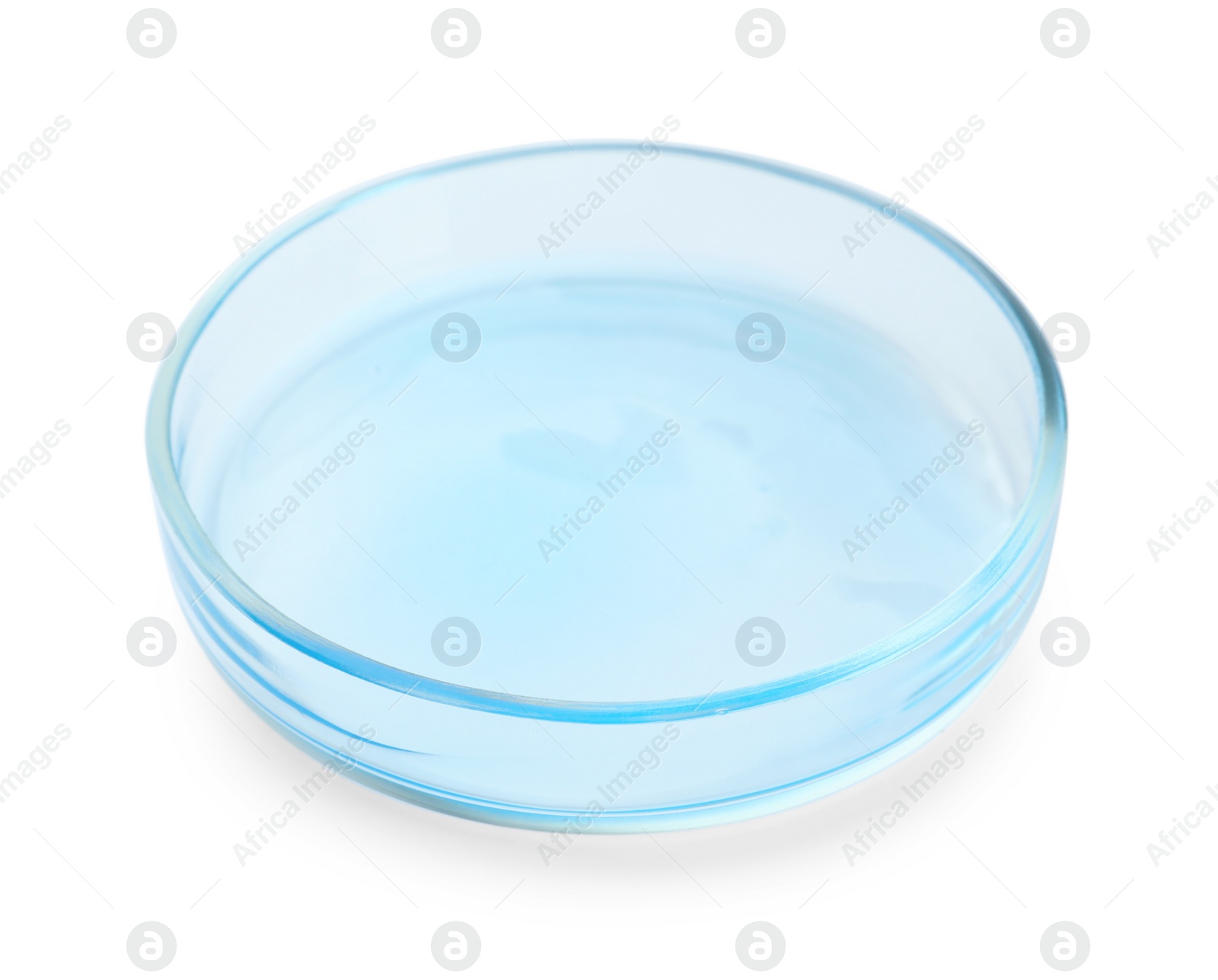 Photo of Petri dish with light blue liquid isolated on white