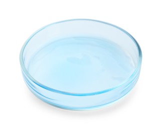 Photo of Petri dish with light blue liquid isolated on white