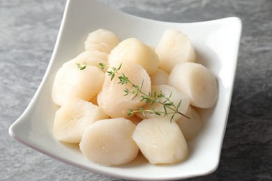 Photo of Fresh raw scallops and thyme in bowl on grey table, closeup