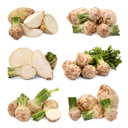 Image of Whole and sliced celery roots isolated on white, collage design