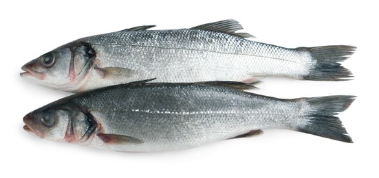 Photo of Fresh sea bass fish on white background, top view