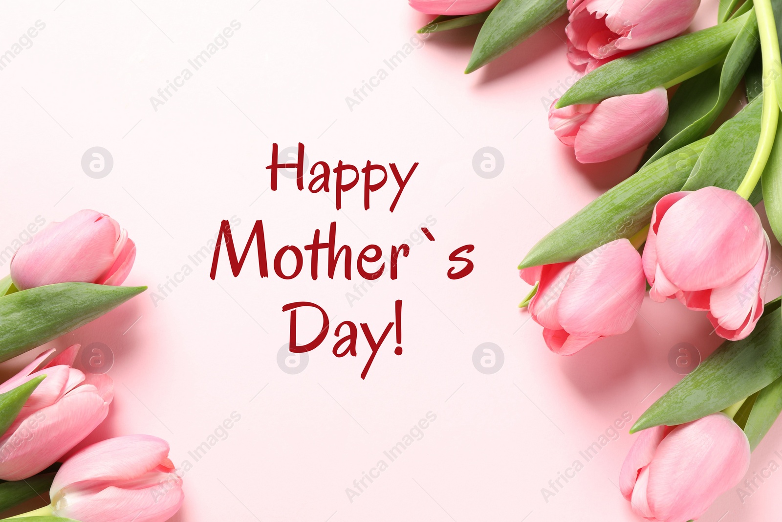 Image of Happy Mother's Day greeting card. Beautiful tulip flowers on pink background