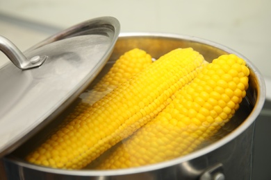 Pot with boiling corn cobs in kitchen, closeup