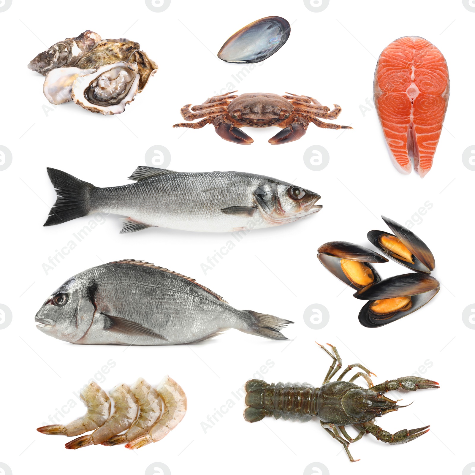 Image of Dorado fish and other seafood isolated on white, set