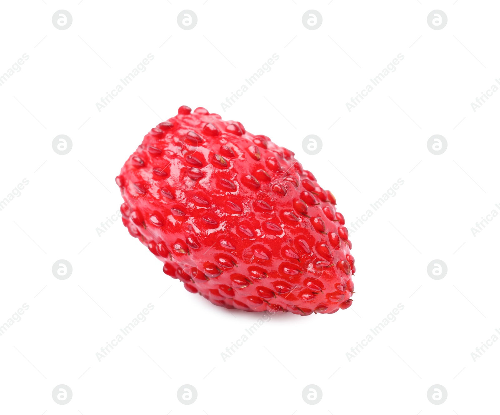 Photo of One ripe wild strawberry isolated on white