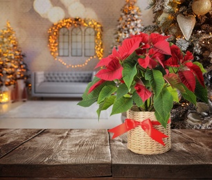 Image of Christmas traditional poinsettia flower on table in decorated room, space for text