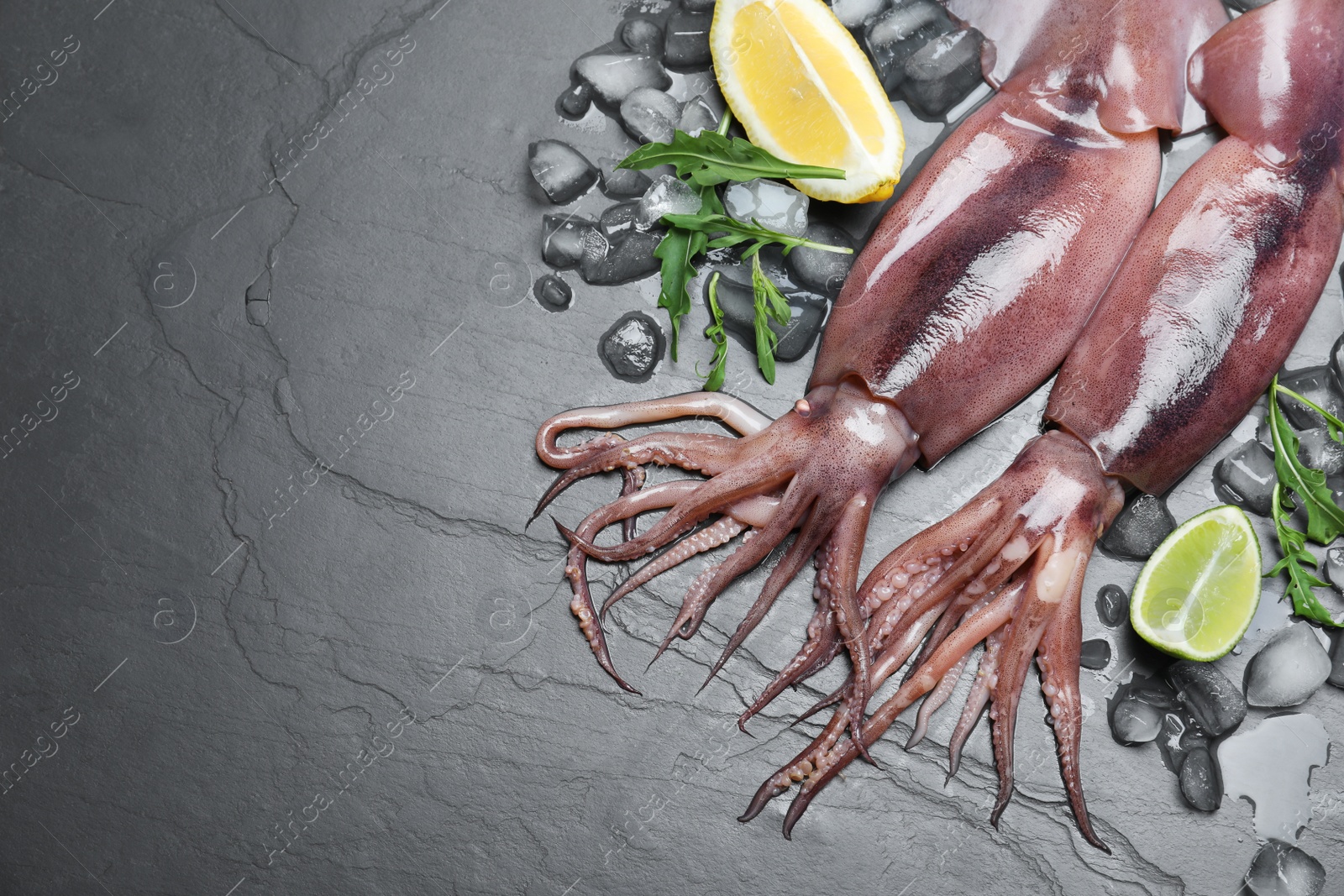 Photo of Fresh raw squids with ice, citrus fruits and arugula on black table, flat lay. Space for text