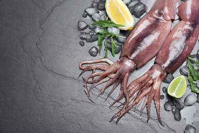Fresh raw squids with ice, citrus fruits and arugula on black table, flat lay. Space for text