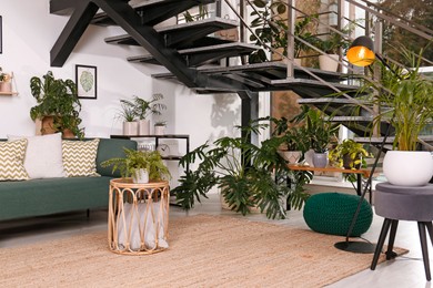 Photo of Stylish living room interior with comfortable sofa and green plants