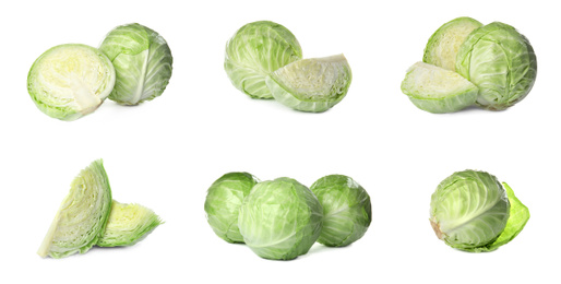 Image of Set of fresh ripe cabbages isolated on white background. Banner design