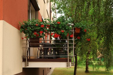 Photo of Balcony decorated with beautiful red flowers and furniture