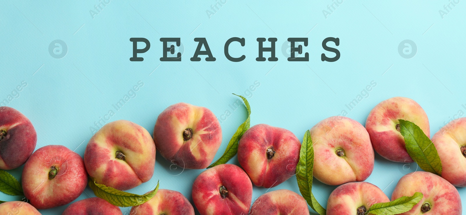 Image of Fresh flat peaches on light blue background, top view. Banner design