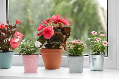 Photo of Different beautiful flowers in pots on windowsill indoors