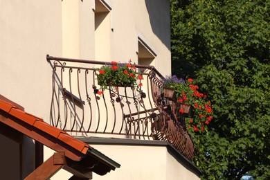 Photo of Balcony decorated with beautiful blooming potted plants on sunny day
