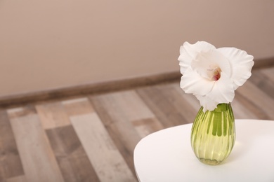 Photo of Vase with beautiful gladiolus flower on wooden table indoors