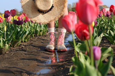 Photo of Woman in rubber boots walking across field with beautiful tulips after rain, closeup