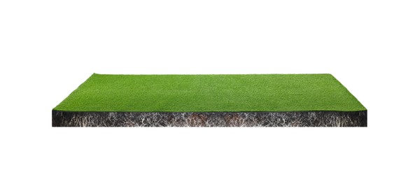 Image of Green grass with soil. Land piece in shape of square isolated on white