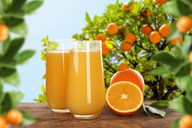 Image of Fresh orange juice on wooden table in orchard