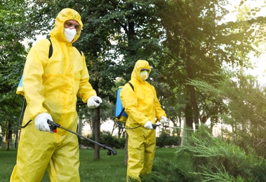 Photo of Workers spraying pesticide onto green bush outdoors. Pest control