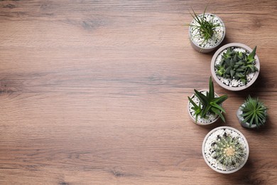 Photo of Different house plants in pots on wooden table, flat lay. Space for text.