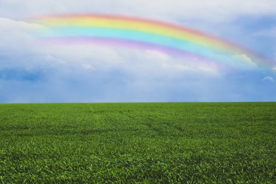 Image of Beautiful rainbow in blue sky over green field on sunny day