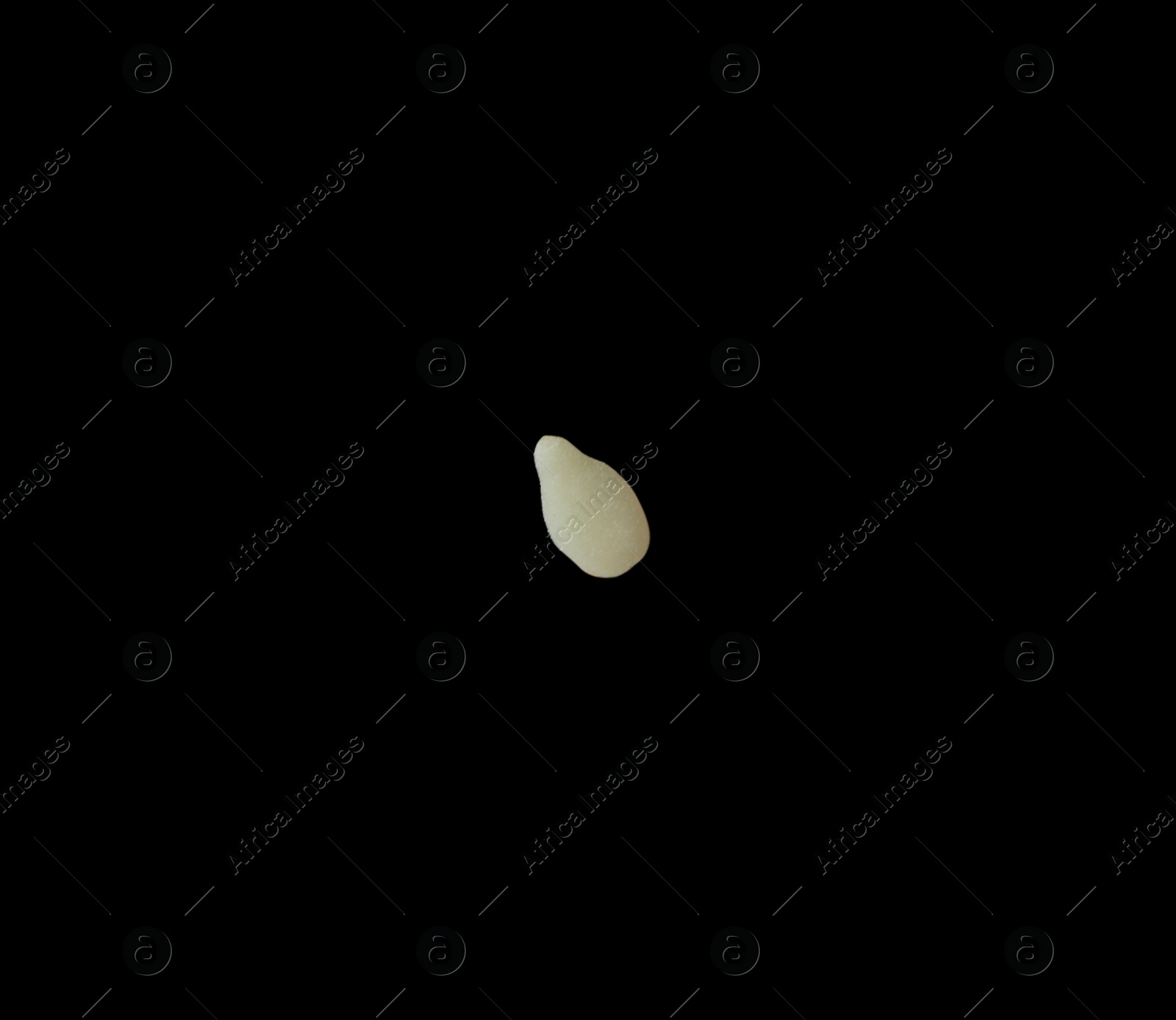 Photo of Sesame seed on black background. Ingredient for sushi