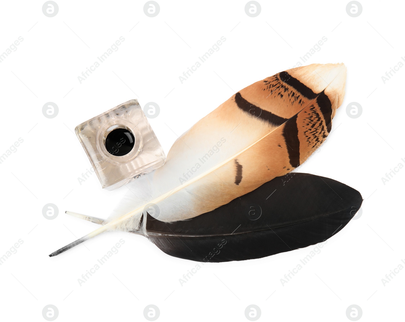 Photo of Feather pens and inkwell on white background, top view