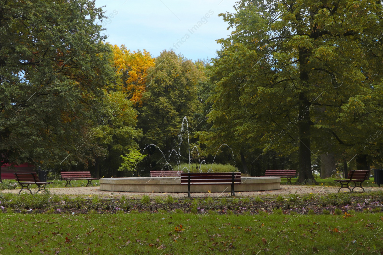 Photo of Beautiful view of public city park with benches near fountain on autumn day