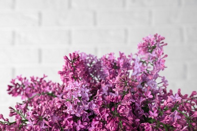 Photo of Blossoming lilac flowers on light background, closeup. Space for text