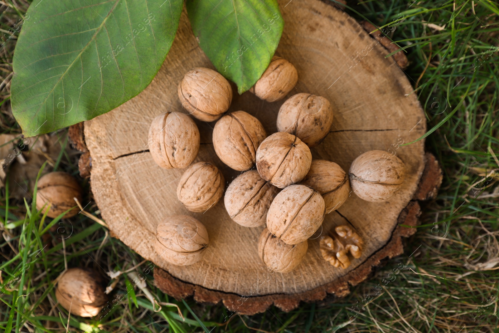 Photo of Tasty walnuts on tree stump outdoors, flat lay
