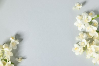 Photo of Beautiful jasmine flowers on grey background, flat lay. Space for text