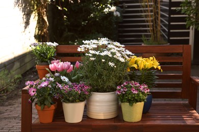 Photo of Many different beautiful blooming plants in flowerpots on wooden bench outdoors