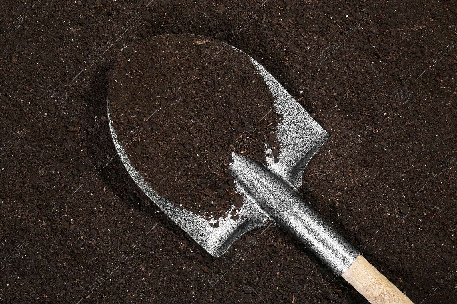 Metal shovel on fertile soil, top view. Gardening tool Photo of Metal shovel on fertile soil, top view. Gardening tool