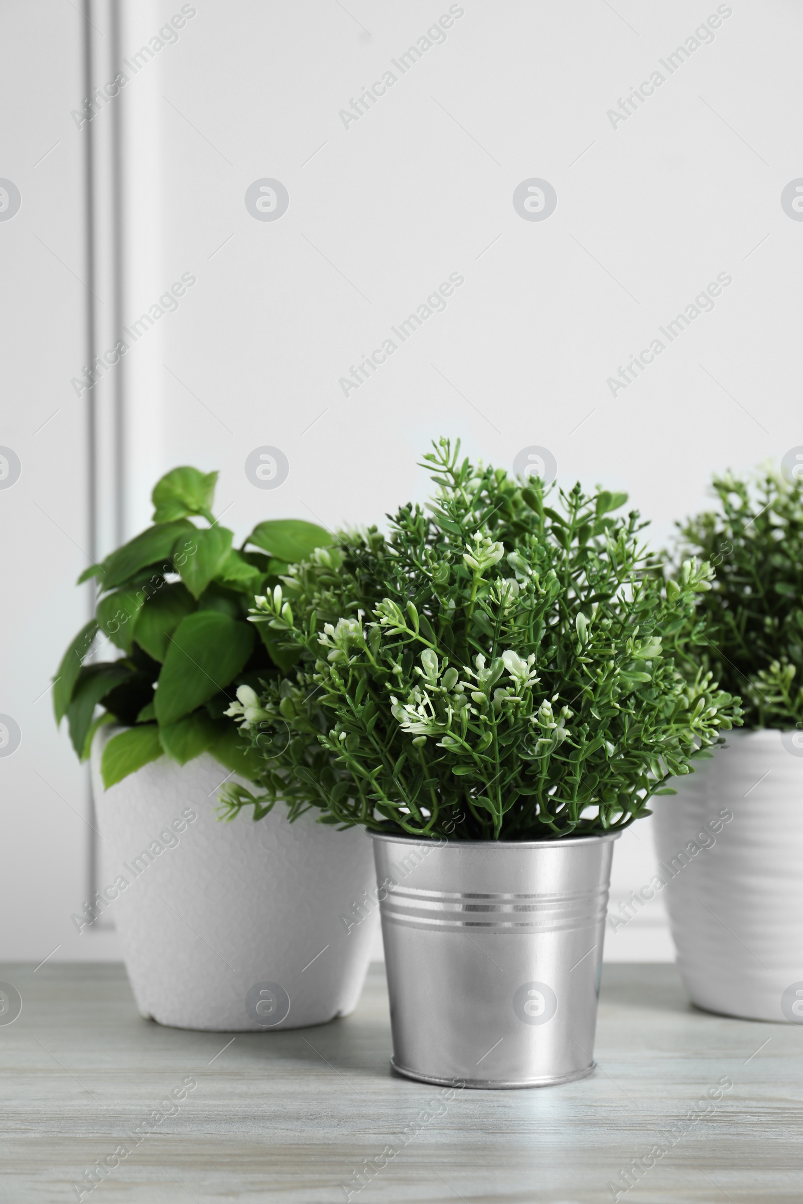 Photo of Different artificial potted herbs on wooden table near white wall, space for text