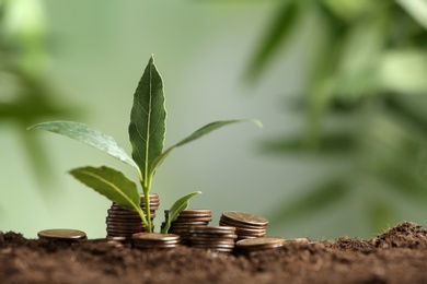 Photo of Stacked coins and young green plant on soil against blurred background, space for text