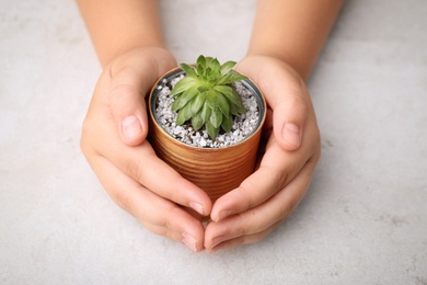 Child holding painted tin can with beautiful succulent at light table, closeup