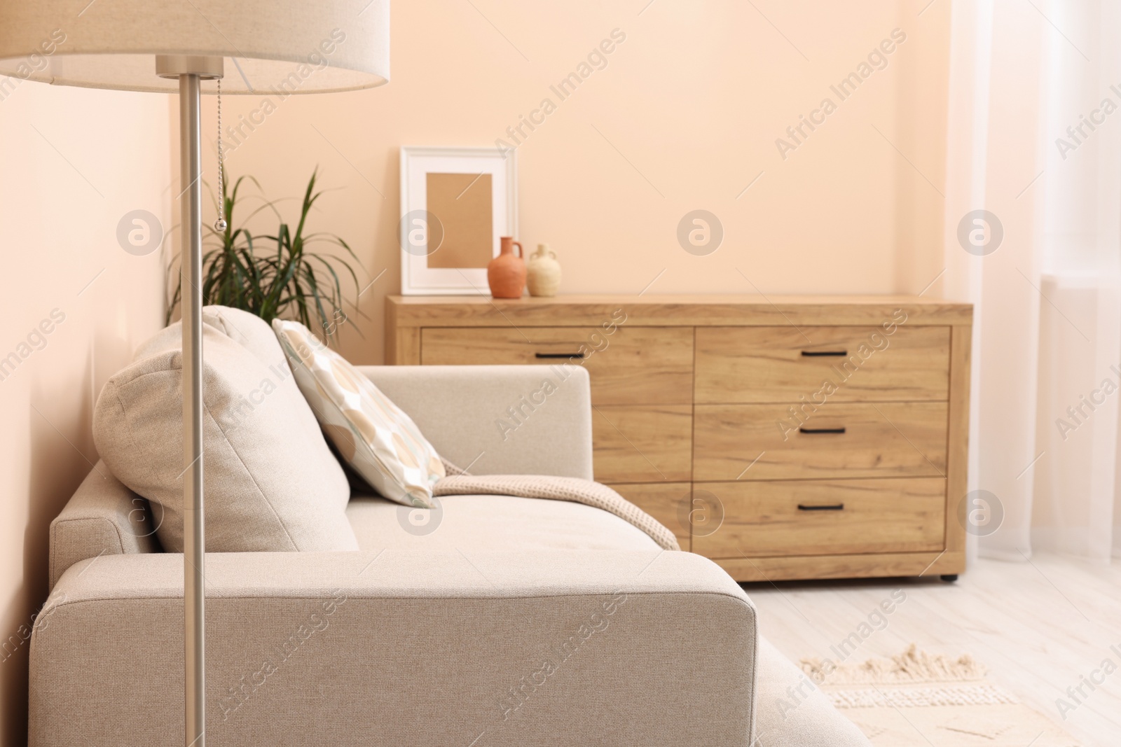 Photo of Stylish sofa and chest of drawers in living room. Interior design