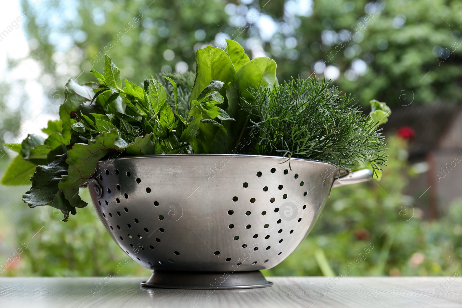 Photo of Different herbs in colander on white wooden table outdoors