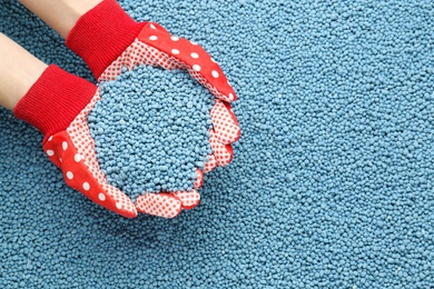 Photo of Woman holding pile of granular mineral fertilizer over grains, top view. Space for text