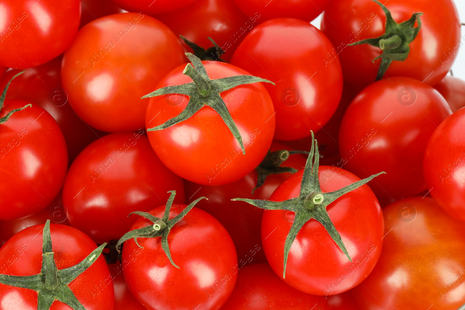 Photo of Many fresh ripe cherry tomatoes on white background, top view